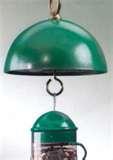 Best Bird Feeder To Buy Best Bird Feeder To Buy