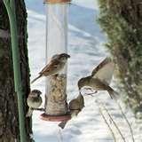 Bird Feeder 5000 photos Bird Feeder 5000 photos