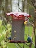 pictures of Bird Feeder Nyjer