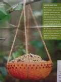 Homemade Bird Feeders Bird Feeder Plans