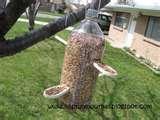 pictures of Bird Feeder Out Bottle