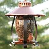 pictures of Bird Feeder 5000