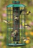 Bird Feeder Nyjer Bird Feeder Nyjer