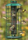 Bird Feeder Nyjer