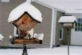 images of Bird Feeders Ny images of Bird Feeders Ny