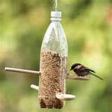 Bird Feeder Out Bottle images