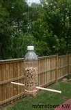 images of Bird Feeder Making