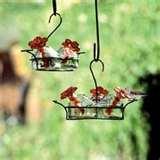 images of Bird Feeders Tucson Az images of Bird Feeders Tucson Az