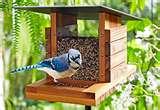 Backyard Bistro Bird Feeder photos Backyard Bistro Bird Feeder photos