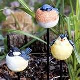 Bird Feeders Ny Bird Feeders Ny