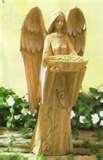 Bird Feeder 5000 Bird Feeder 5000