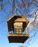 Homemade Bird Feeders Bird Feeder Plans photos