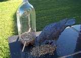pictures of Bird Feeder Out Bottle