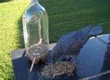 Bird Feeder Of Two Liter Bottle