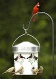 Backyard Bistro Bird Feeder pictures Backyard Bistro Bird Feeder pictures