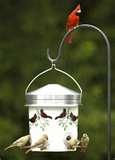 Backyard Bistro Bird Feeder pictures