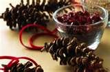 Bird Feeder Recipes Bird Feeder Recipes