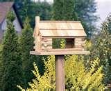 Bird Feeders Grade 1 photos