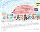 photos of Bird Feeders Grade 1 photos of Bird Feeders Grade 1