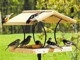Bird Feeders Out Of Wood Bird Feeders Out Of Wood