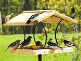 Bird Feeders Out Of Wood