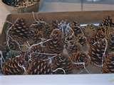 images of Bird Feeders Grade 1 images of Bird Feeders Grade 1