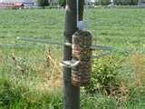 Bird Feeders When To Make pictures Bird Feeders When To Make pictures