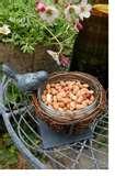 Porcelain Bird Feeder Uk Porcelain Bird Feeder Uk