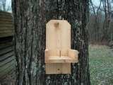 Bird Feeders Out Of Wood images