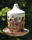 pictures of Bird Feeder Orange pictures of Bird Feeder Orange