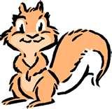pictures of Squirrels Bird Feeders Prevent pictures of Squirrels Bird Feeders Prevent