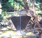 Bird Feeder Pulley System photos Bird Feeder Pulley System photos