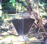 Bird Feeder Pulley System photos