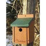 Bird Feeder Dump pictures