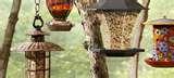 Bird Feeder Ideas Home pictures