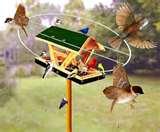 photos of Bird Feeders Paypal photos of Bird Feeders Paypal