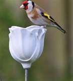 Porcelain Bird Feeder Uk