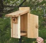 pictures of Bird Feeders Out Of Wood