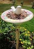 Bird Feeder Recipes