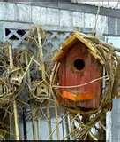 Bird Feeders Paypal photos Bird Feeders Paypal photos