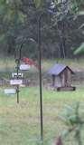 Bird Feeders Gifts Kids pictures Bird Feeders Gifts Kids pictures