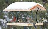 photos of Bird Feeders Out Of Wood