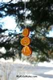 Bird Feeder Orange photos Bird Feeder Orange photos
