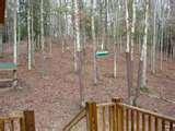 Bird Feeder Pulley System pictures Bird Feeder Pulley System pictures