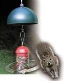 Squirrel Proof Bird Feeders Twirl pictures Squirrel Proof Bird Feeders Twirl pictures