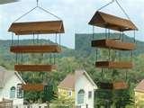 images of Bird Feeders Fly Through images of Bird Feeders Fly Through