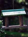 images of Bird Feeders Get Birds images of Bird Feeders Get Birds