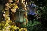 pictures of Bird Feeders New York City pictures of Bird Feeders New York City