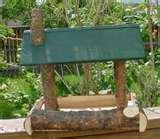 Bird Feeders Fly Through photos Bird Feeders Fly Through photos