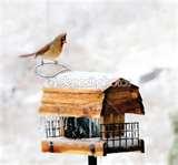 Bird Feeder Vector pictures